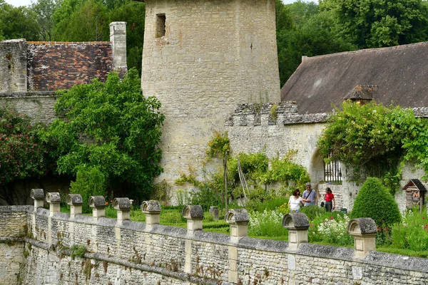 Chaussy Villarceaux França Junho 2020 Parque Histórico Castelo — Fotografia de Stock