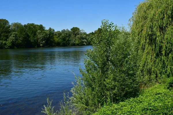 Triel Sur Seine France June 2020 Seine River — Stock Photo, Image