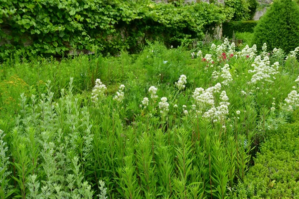 Chaussy Villarceaux Francia Giugno 2020 Storico Parco Del Castello — Foto Stock