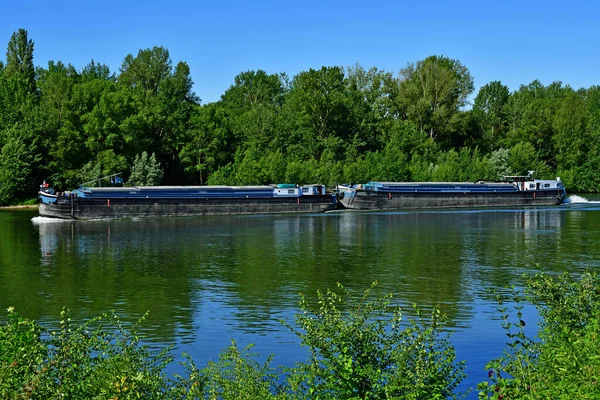 Triel Sur Seine Francia Giugno 2020 Riva Della Senna — Foto Stock