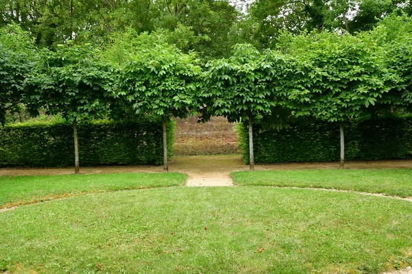 Roche Guyon France Juin 2020 Jardin Historique Château — Photo