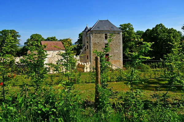 Arthies Franța Mai 2020 Castelul Pitoresc — Fotografie, imagine de stoc