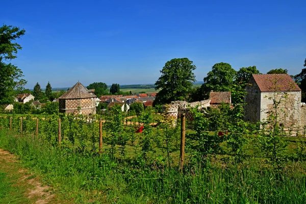 Arthies Frankrijk Mei 2020 Het Pittoreske Kasteel — Stockfoto