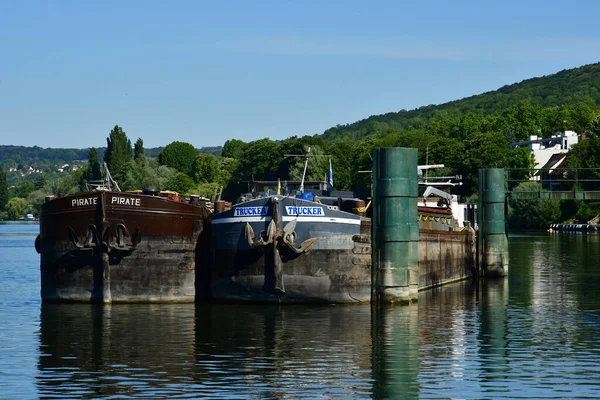 Triel Sur Seine Francja Czerwca 2020 Brzeg Sekwany — Zdjęcie stockowe