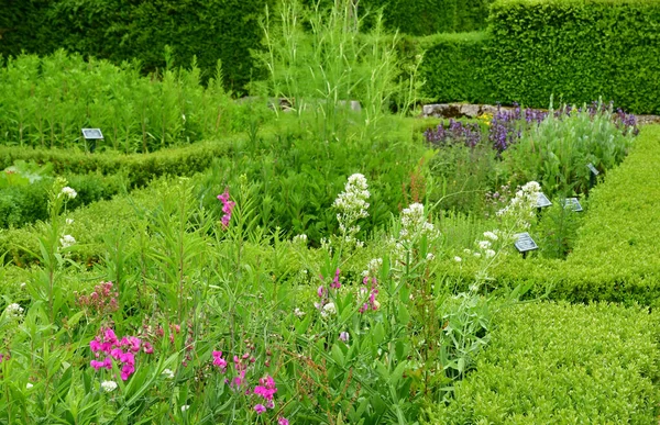 Chaussy Villarceaux Francia Giugno 2020 Storico Parco Del Castello — Foto Stock