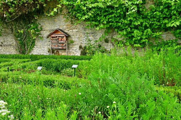 Chaussy Villarceaux Frankrijk Juni 2020 Het Historische Kasteelpark — Stockfoto