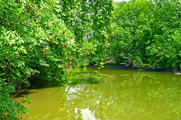 Olivet Frankreich Juli 2020 Die Loiret Ufer — Stockfoto