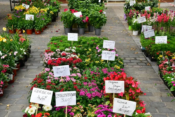 Loches Francia Luglio 2020 Fiori Mercato — Foto Stock