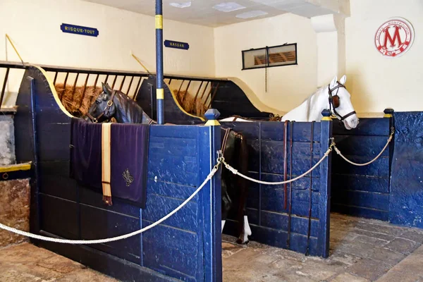 Cere Ronde France Juillet 2020 Écurie Château Montpoupon — Photo