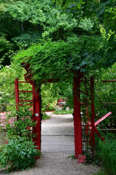 Amboise France July 2020 Chinese Garden Chanteloup Pagoda Park — 图库照片