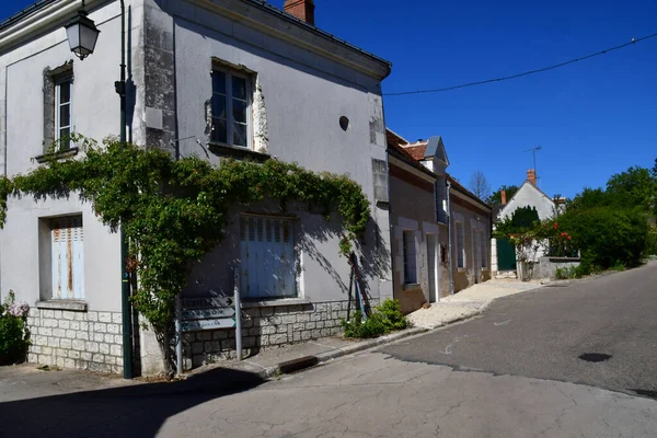 Chedigny Francia Julio 2020 Florecido Pueblo Chedigny Verano — Foto de Stock