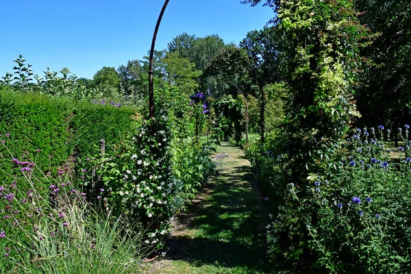 Poulaines Francia Luglio 2020 Tenuta Poulaines — Foto Stock