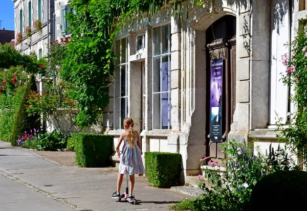 Chedigny France Juillet 2020 Village Fleuri Chedigny Été — Photo