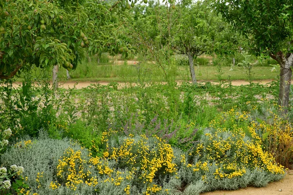 Roche Guyon Frankrijk Juni 2020 Het Kasteelpark Zomer — Stockfoto