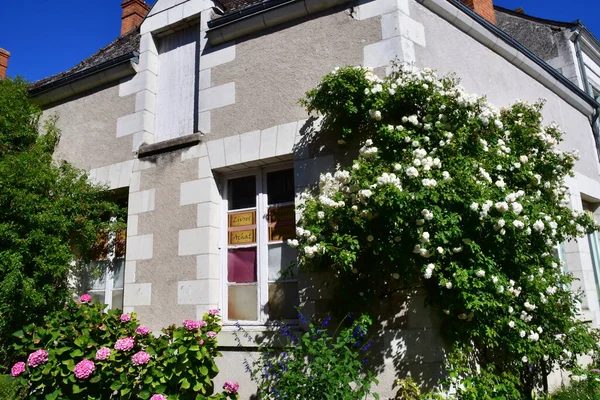 Chedigny Frankrijk Juli 2020 Het Bloeiende Dorpje Chedigny Zomer — Stockfoto