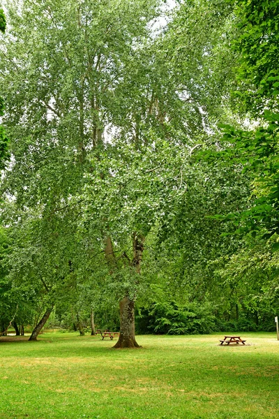 Olivet France July 2020 Loiret Banks — Stock Photo, Image