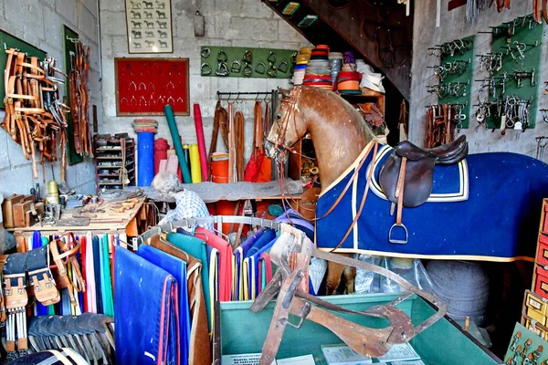 Cere Ronde France July 2020 Hunting Dogs Museum Castle Montpoupon — Stock Photo, Image