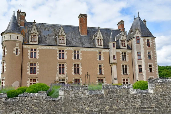 Cere Ronde Frankreich Juli 2020 Die Mittelalterliche Burg Von Montpoupon — Stockfoto