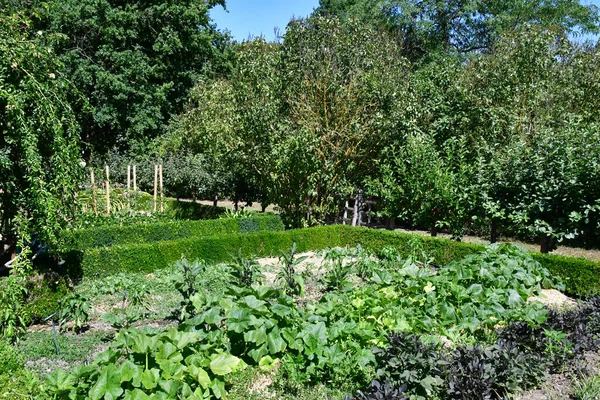 Poulaines Francia Luglio 2020 Tenuta Poulaines — Foto Stock