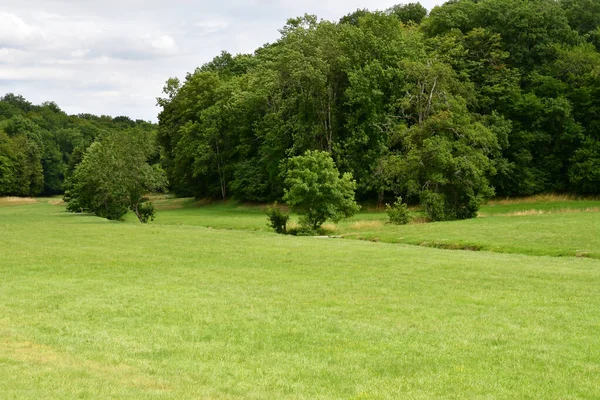 Cere Ronde França Julho 2020 Paisagem Frente Castelo Montpoupon — Fotografia de Stock