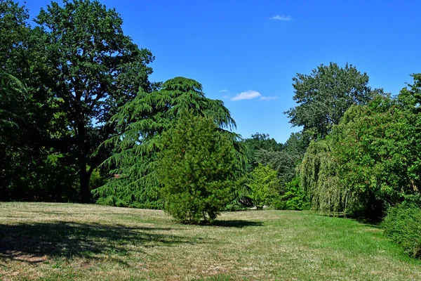 Poulaines France July 2020 Poulaines Estate — стокове фото