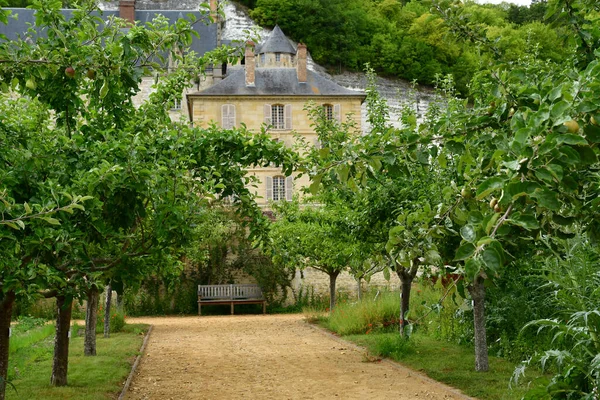Roche Guyon Frankreich Juni 2020 Der Schlosspark Sommer — Stockfoto