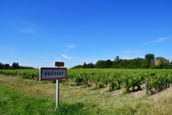 Vouvray Francie Červenec 2020 Vinice — Stock fotografie