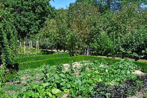 Poulaines Francia Luglio 2020 Tenuta Poulaines — Foto Stock