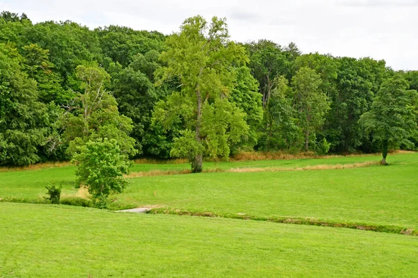 Cere Ronde Frankrike Juli 2020 Landskapet Framför Slottet Montpoupon — Stockfoto