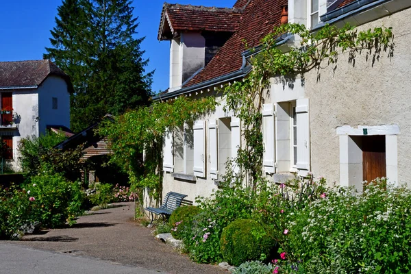 Chedigny Frankrike Juli 2020 Den Blommiga Byn Chedigny Sommaren — Stockfoto