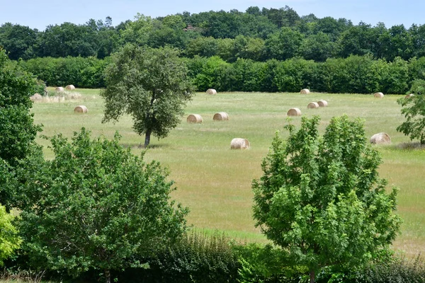 Amboise Francja Lipca 2020 Widok Pagody Chanteloup — Zdjęcie stockowe