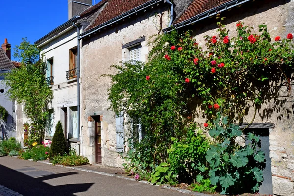 Chedigny Frankreich Juli 2020 Das Blühende Dorf Chedigny Sommer — Stockfoto