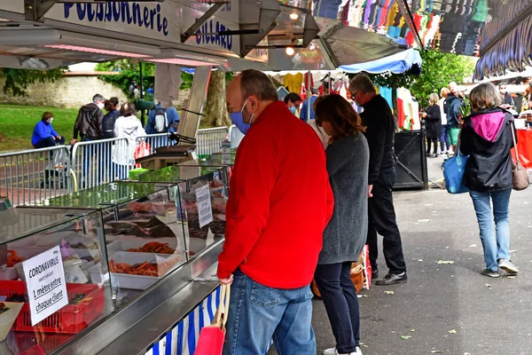 Verneuil Sur Seine France June 2020 Market — 图库照片