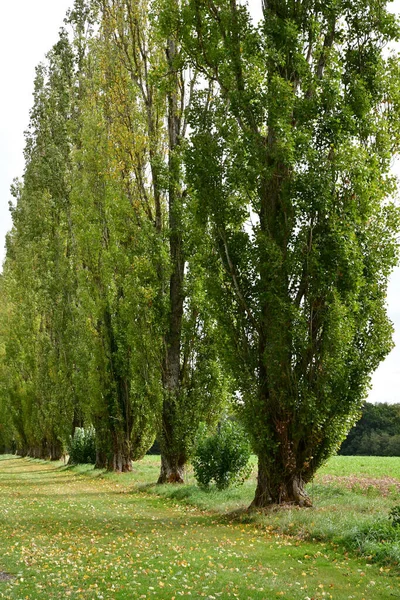 Radepont France Septembre 2020 Sentier Devant Pittoresque Château Bonnemare Normandie — Photo