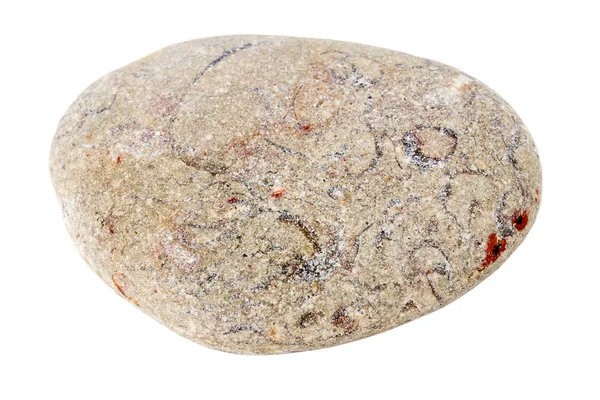 Морской Камень Изолирован Белом Фоне Серая Круглая Галька — стоковое фото