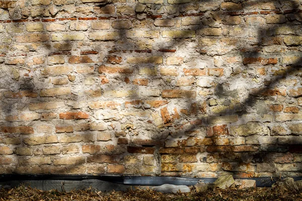 Alte Rissige Mauer Mit Dem Schatten Eines Baumes Architektur Und — Stockfoto