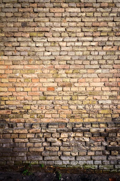 Sarı tuğla duvar arkaplanı — Stok fotoğraf