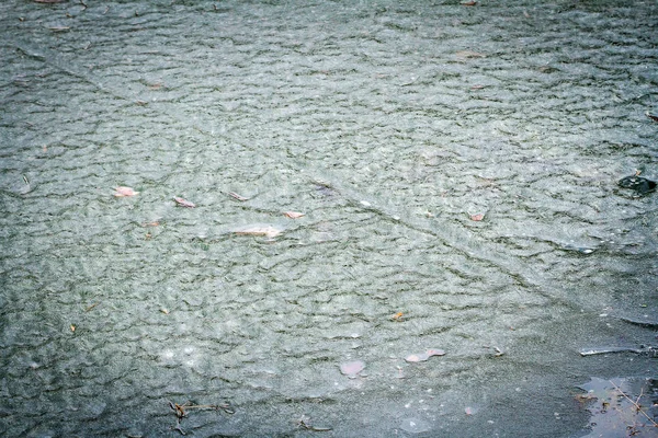 Superficie del estanque cubierta de hielo derretido — Foto de Stock