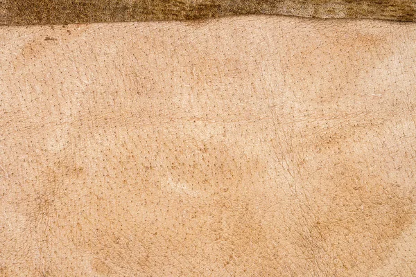 Genuine brown leather texture background. Back side. — Stock Photo, Image