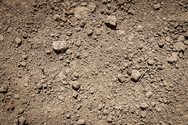 Bodenstruktur Mit Klumpen Abziehen Hintergrund Des Bodens — Stockfoto