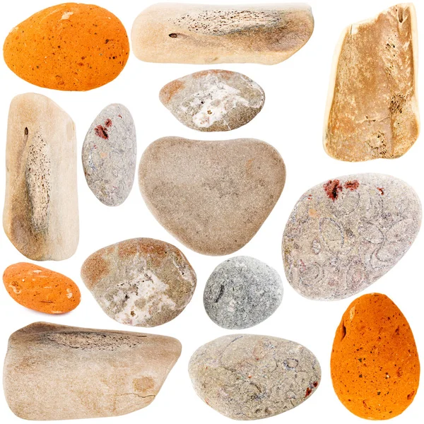 Коллекция Морских Камней Костей Изолированы Белом Фоне Различные Морские Находки — стоковое фото