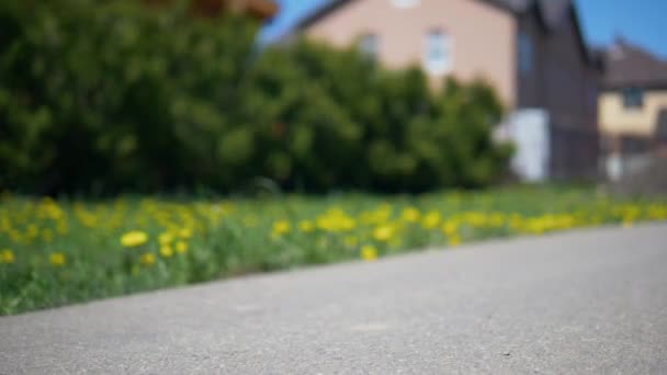 Mädchen Auf Einem Kick Push Scooter Zeitlupe Video Eines Mädchens — Stockvideo