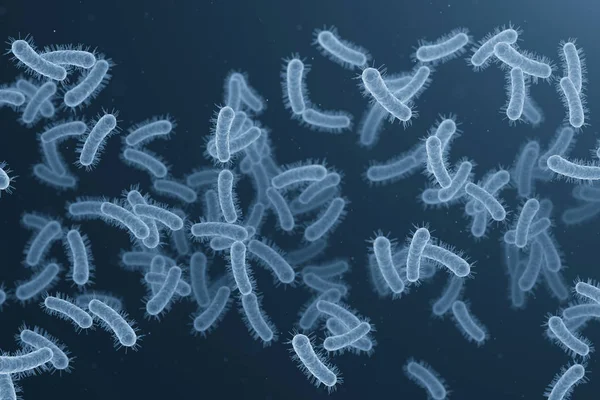 無地の背景 デジタル イラストの大腸菌 — ストック写真