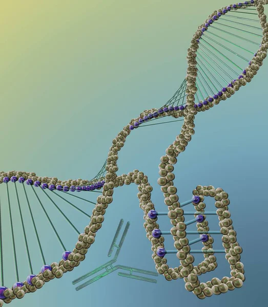 Estructura Adn Con Motivo Intercalado Ilustración Digital — Foto de Stock