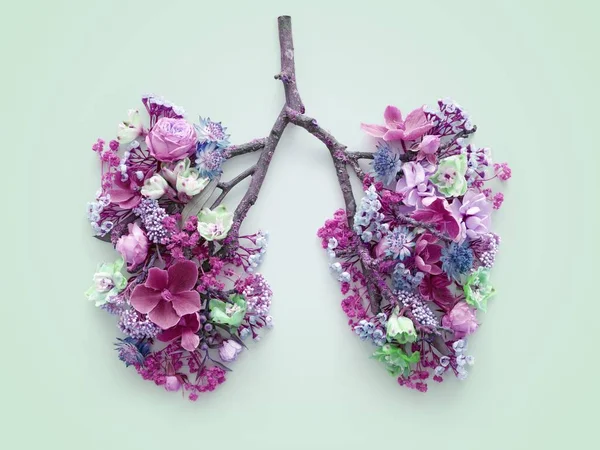 Wiosenne Kwiaty Reprezentujących Zdrowe Płuca Ludzkie Pojęciowy Studio Strzał — Zdjęcie stockowe
