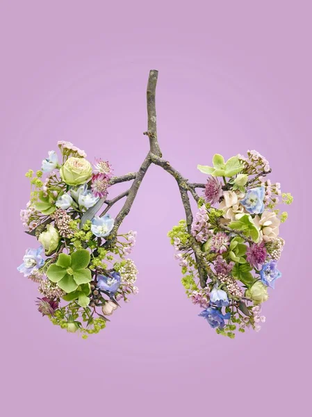 Wiosenne Kwiaty Reprezentujących Zdrowe Płuca Ludzkie Pojęciowy Studio Strzał — Zdjęcie stockowe