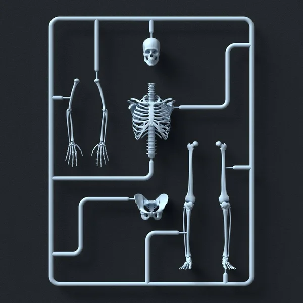 Model Skeleton Kit Black Background Illustration — Stock Photo, Image