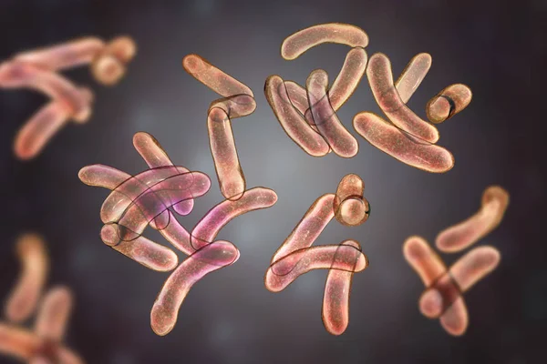 Groep Van Flagellen Cholera Bacteriën Digitale Afbeelding — Stockfoto