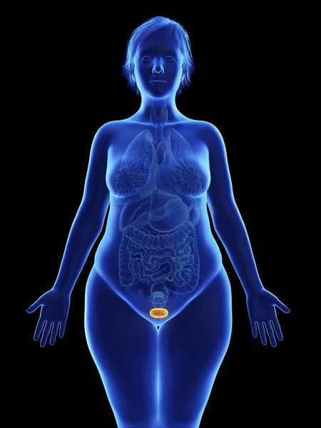 Μετωπική Εικόνα Του Μπλε Σιλουέτα Του Παχύσαρκη Γυναίκα Επισήμανση Της — Φωτογραφία Αρχείου