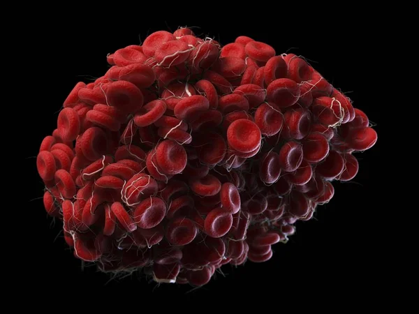 血块中的细胞组的示意图 — 图库照片